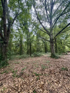 Land in Opelika 2