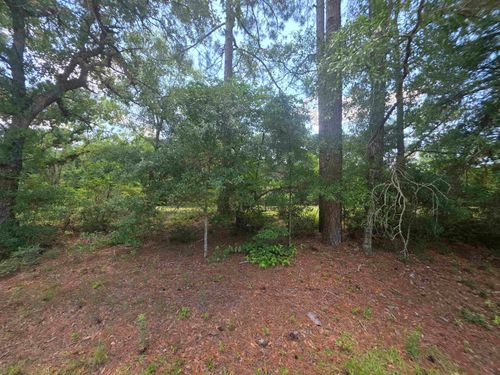 TBD 4th Ave., Conway, SC, 29527 | Card Image