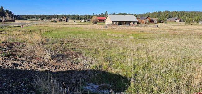 6550 N Pagosa Blvd, Home with 0 bedrooms, 0 bathrooms and null parking in Pagosa Springs CO | Image 8