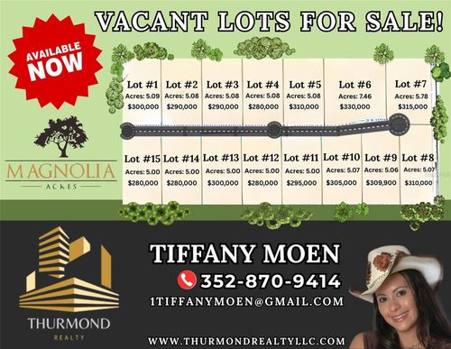 Lot 3 TBD Sw 220th Drive, NEWBERRY, FL, 32669 | Card Image