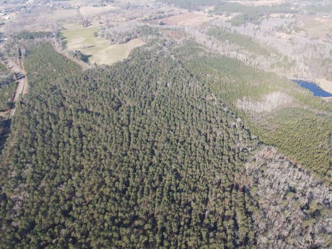 DJI_0872 | Image 6
