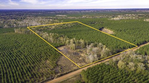 950 Tram Rd, Livingston, TX, 77351 | Card Image