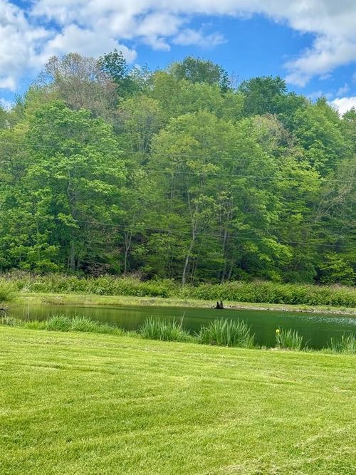 0 Kentucky Trail Haines Rd, Minford, OH, 45653 | Card Image
