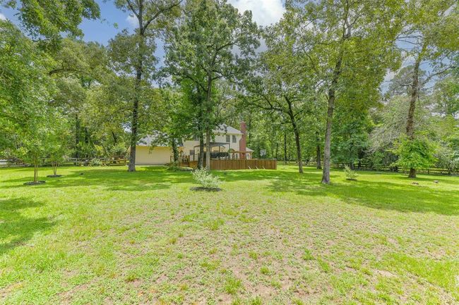 HUGE yard perfect for kids and pets to roam freely. | Image 46