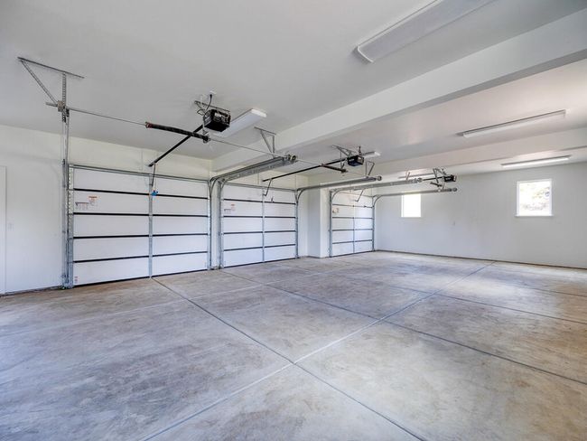 1168 Paper Birch-18 | Image 18