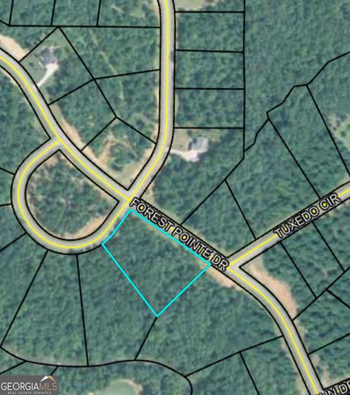 207 Forest Pointe Drive, Forsyth, GA, 31029 | Card Image