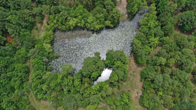 0000 Fm 3421, Home with 0 bedrooms, 0 bathrooms and null parking in Lone Star TX | Image 7
