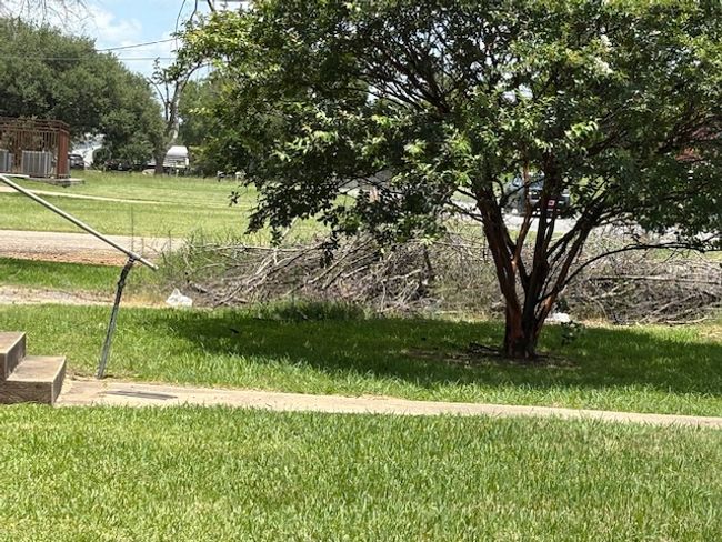 View of grassy yard | Image 16