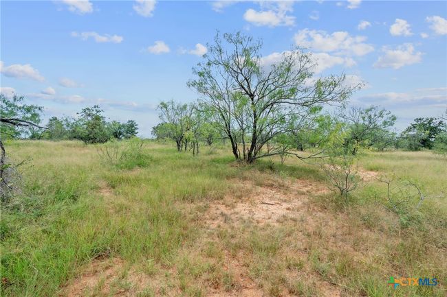 3597 Baker Rd, Home with 0 bedrooms, 0 bathrooms and null parking in Kingsbury TX | Image 21