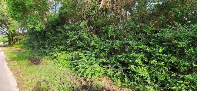 330 County Road 835, Home with 0 bedrooms, 0 bathrooms and null parking in Buna TX | Image 8