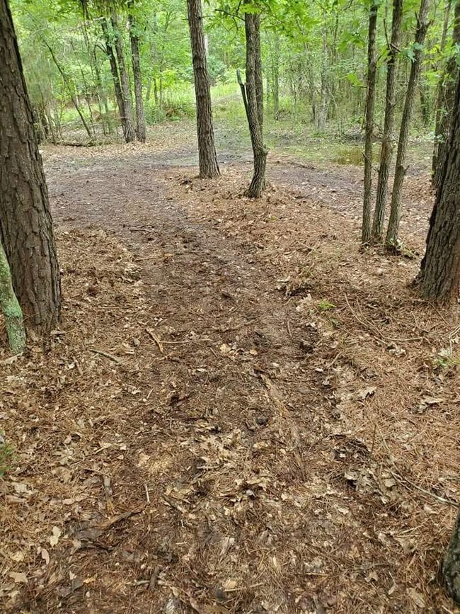 View of landscape featuring a wooded view | Image 24