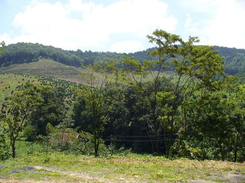 TBD Mill Creek Rd, Todd, NC, 28684 | Card Image