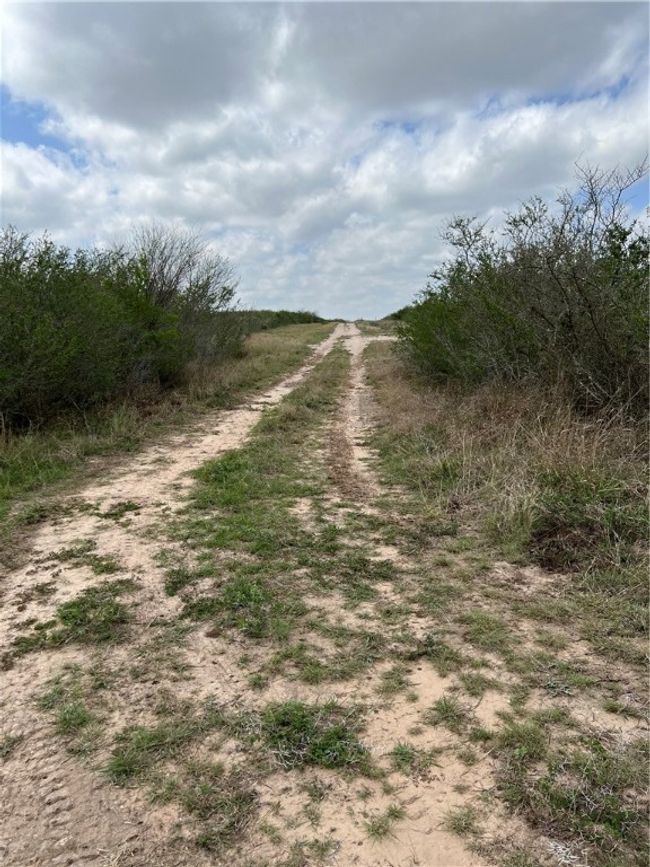 0 Blackbrush Spur, Home with 0 bedrooms, 0 bathrooms and null parking in George West TX | Image 5