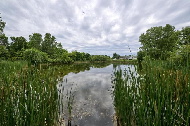 1567 Meadow Heights Circle, House other with 5 bedrooms, 3 bathrooms and null parking in FOX CROSSING WI | Image 40