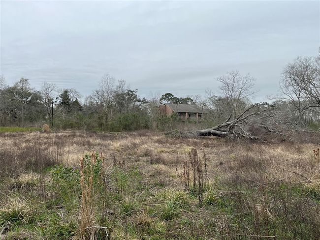 This is taken from near the middle of the lot, looking back toward the old house. | Image 8