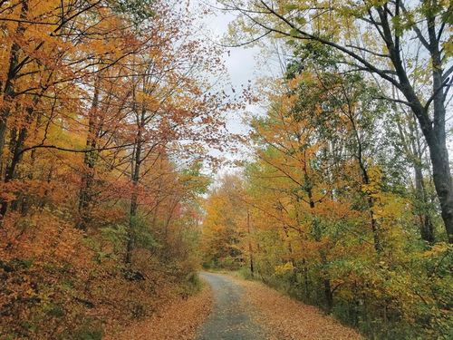 00 Lost Lane, Tioga, PA, 16946 | Card Image