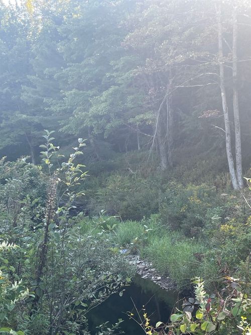 222 Eagle Ledge Rd, Worcester, VT, 05682-9625 | Card Image