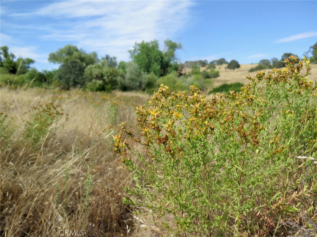 Land in La Grange 3