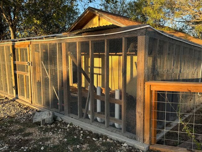 Chicken Coop | Image 12