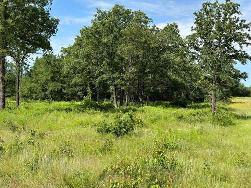 Lot 79 Paradise Oaks, Perrin, TX, 76486 | Card Image