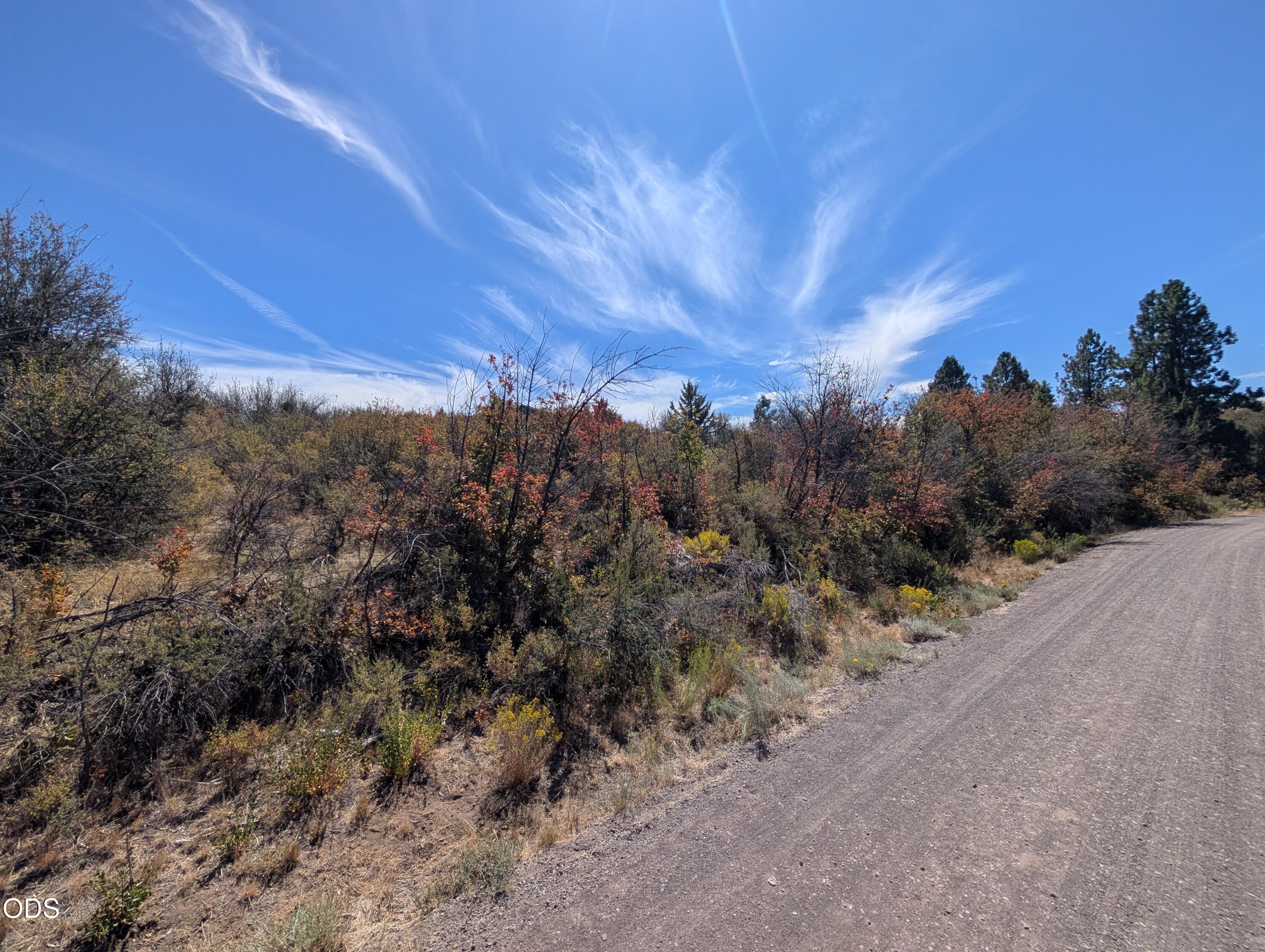 Land in Chiloquin 5