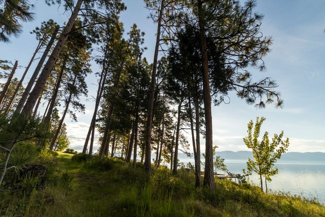 View of landscape with a water and mountain view | Image 55