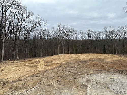 Tract 4 Walker Way, Monroe City, MO, 63456 | Card Image