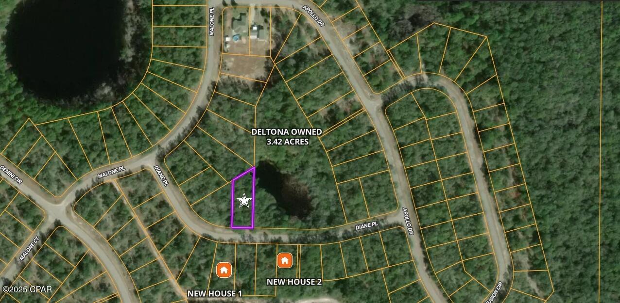 Land in Chipley 4