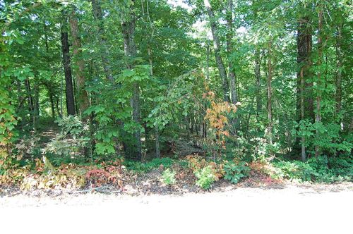 65 Dogwood Ln, Dunlap, TN, 37327-7708 | Card Image