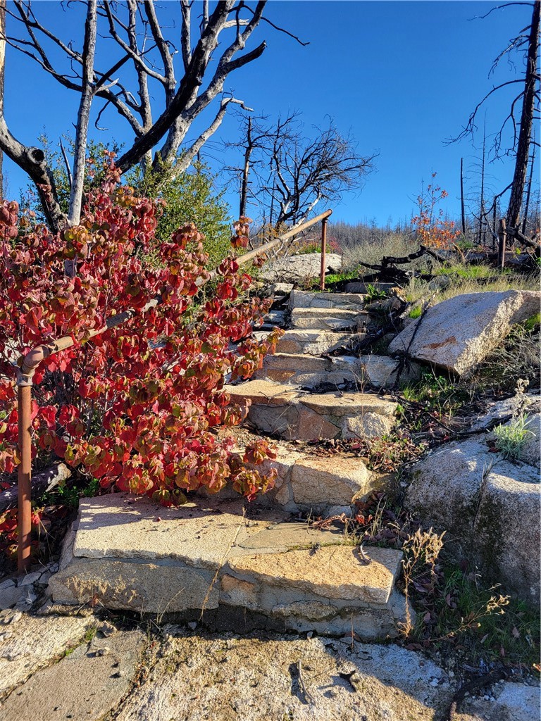 Land in Berry Creek 4