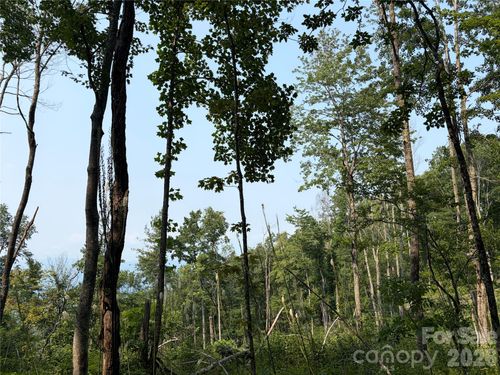 000 Catbrier Ln, Burnsville, NC, 28714 | Card Image