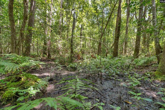 0000 N Brewington Rd, Home with 0 bedrooms, 0 bathrooms and null parking in Manning SC | Image 73