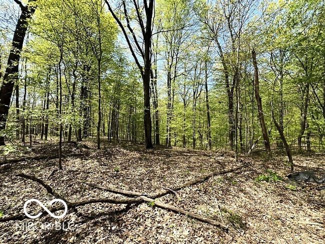 0 Possum Trot Rd, Home with 0 bedrooms, 0 bathrooms and null parking in Unionville IN | Image 7