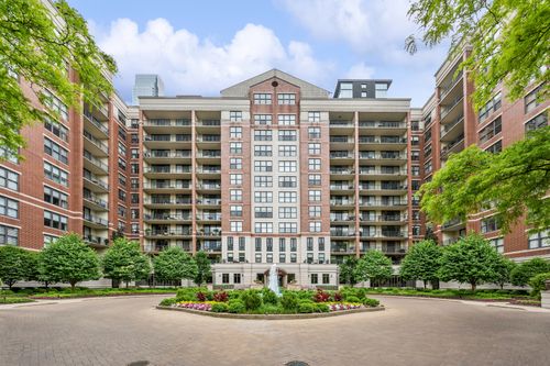 217-55 W Delaware Pl, Chicago, IL, 60610-3369 | Card Image