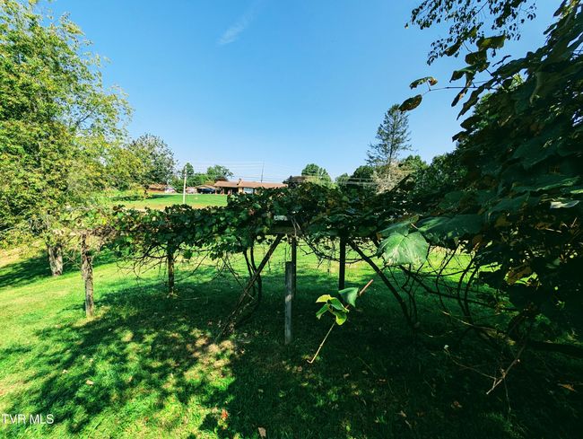 2509 Dc Caney Ridge Rd, House other with 3 bedrooms, 2 bathrooms and null parking in Clintwood VA | Image 28