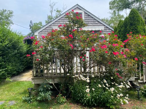 unit-9-17 Shore Rd, Truro, MA, 02666 | Card Image