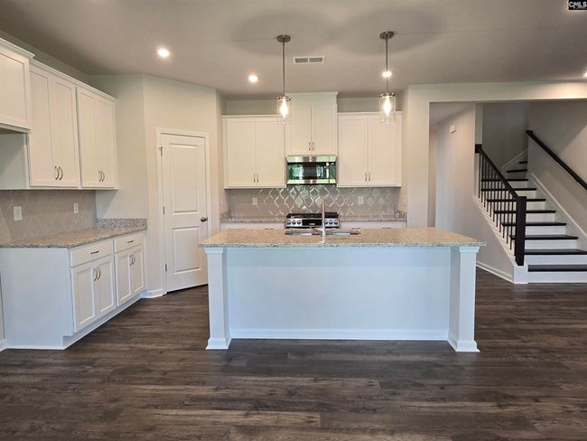 604 Basalt Ct, House other with 3 bedrooms, 3 bathrooms and null parking in Chapin SC | Image 9