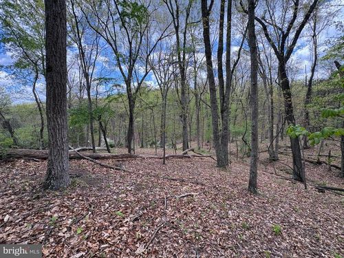 5 AC Beam Road, ROMNEY, WV, 26757 | Card Image