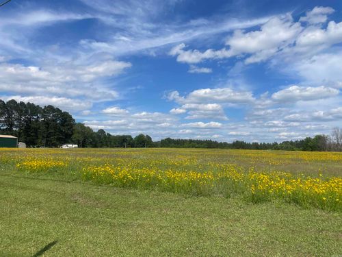 000 Highway 291 S, Prattsville, AR, 72129 | Card Image