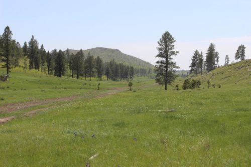 65.49 acres Custer Limestone Road, Custer, SD, 57730 | Card Image