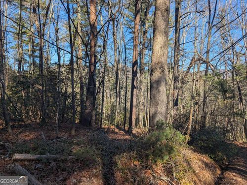 LOT J251 Pine Ridge Rd, Ellijay, GA, 30536 | Card Image