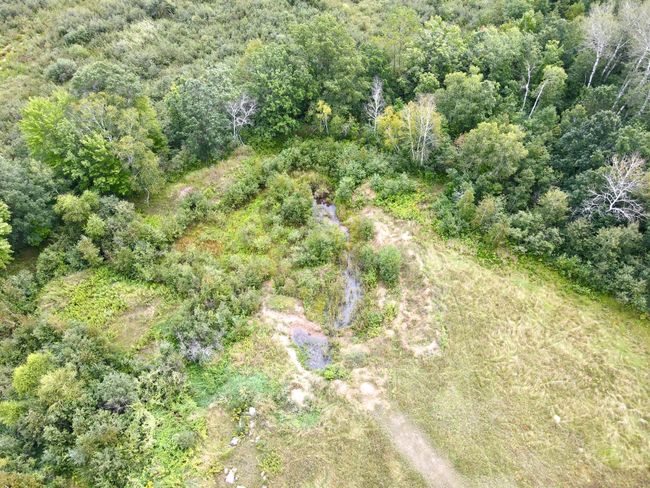 dji_fly_20240822_104844_579_1724341806382_photo.jpeg | Image 22