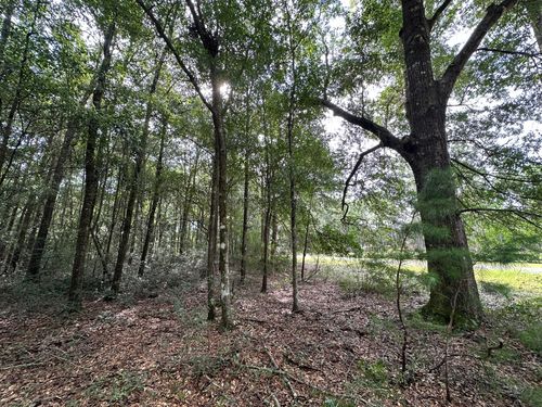 Lot D Pineforest Dr, Crestview, FL, 32539-8121 | Card Image