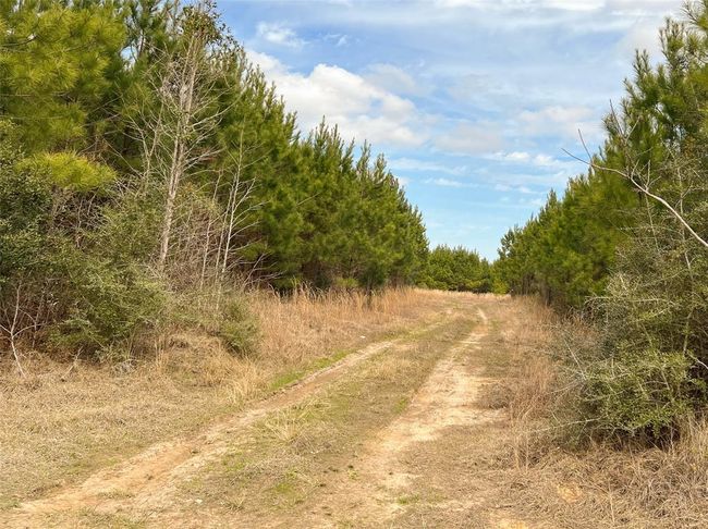 7 Fm 1746, Home with 0 bedrooms, 0 bathrooms and null parking in Spurger TX | Image 12
