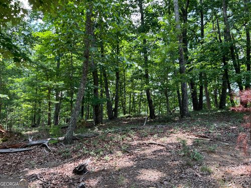 0 Planters Pointe Dr, Baldwin, GA, 30511 | Card Image