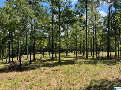 0 - 0 Highway 51, Home with 0 bedrooms, 0 bathrooms and null parking in WESTOVER AL | Image 1