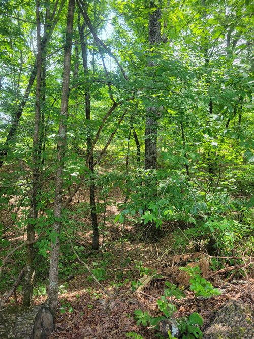wr17-0 Dogwood Dr, Middleton, TN, 38052 | Card Image