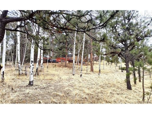 103 Adair Cir, Florissant, CO, 80816-7907 | Card Image