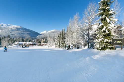 562-4800 Spearhead Dr, Whistler, BC, V8E1G1 | Card Image