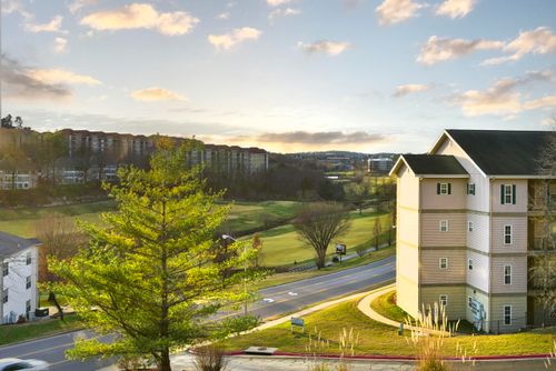 apt-d9-350 S Wildwood Dr, Branson, MO, 65616-7142 | Card Image